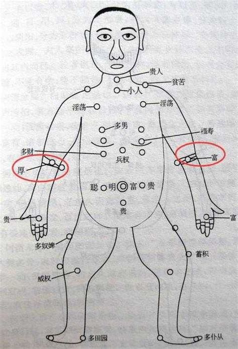 進財痣|痣的位置透露出這些訊息！上手臂有痣不乏追求者、手。